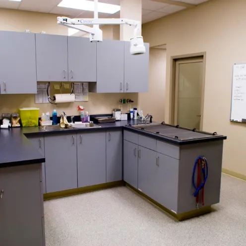 Laboratory area and operating area
